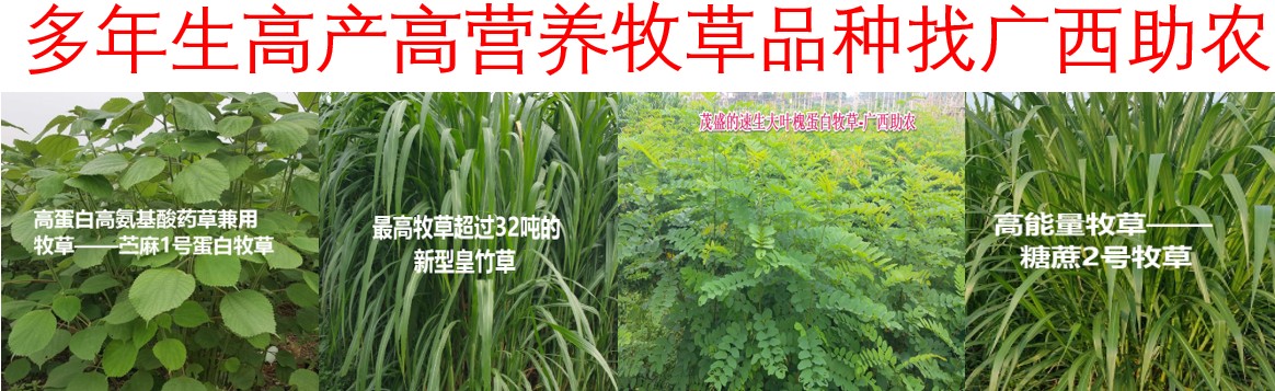 圖片1